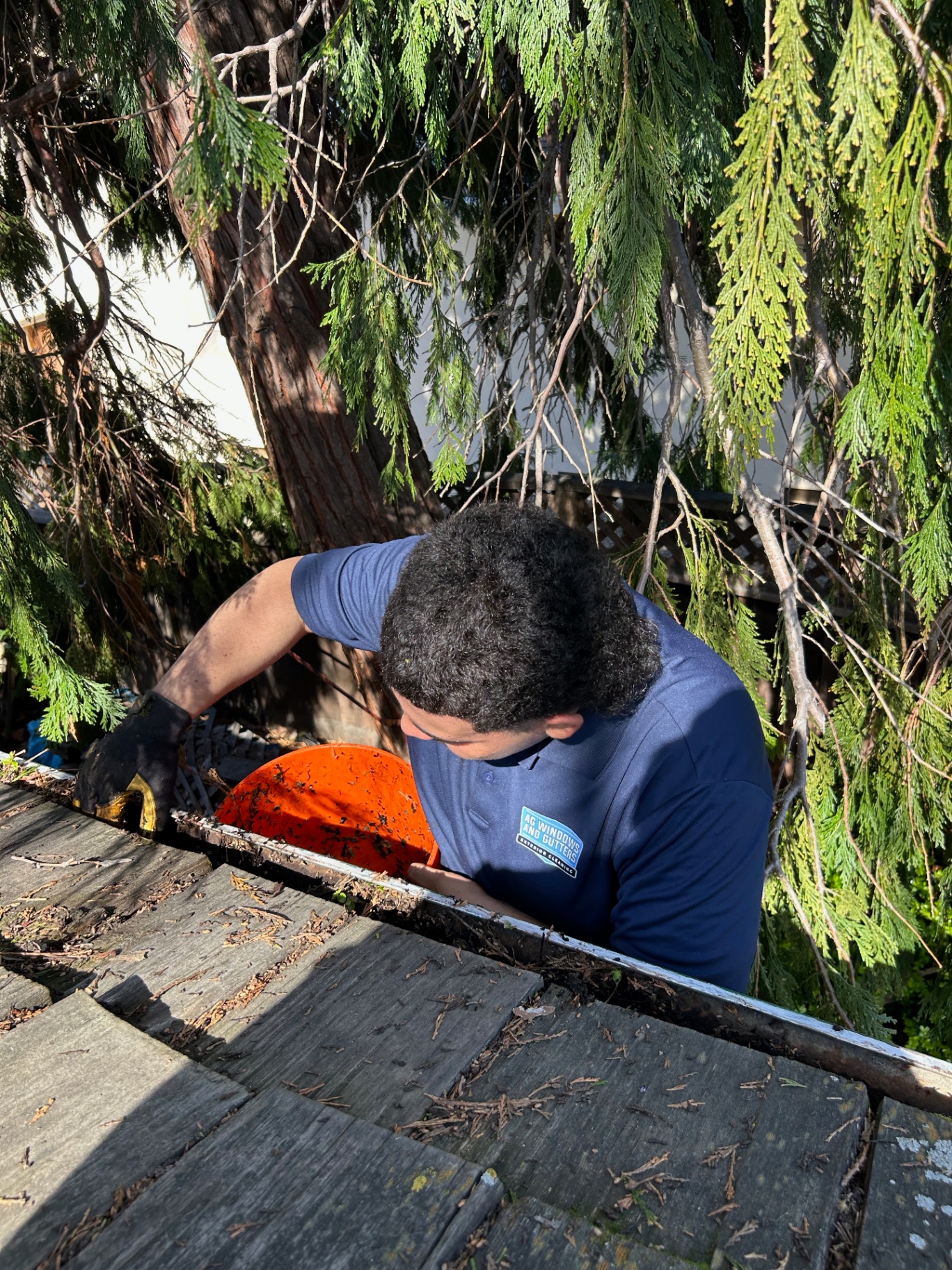 Gutter Cleaning