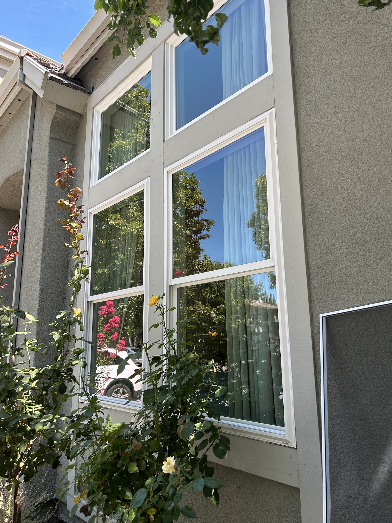 Sparkling clean exterior windows in San Jose by AG Windows and Gutters